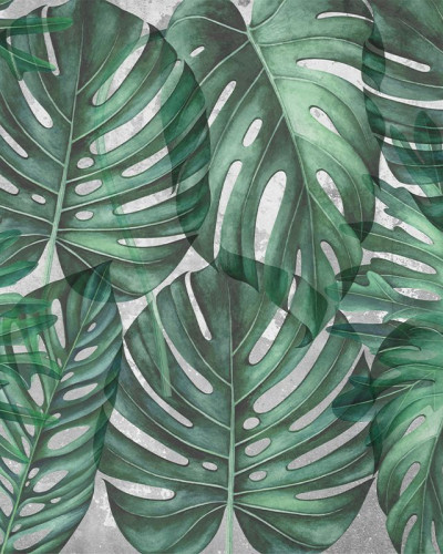 Tapet cu frunze mari de Philodendron in nuante de verde