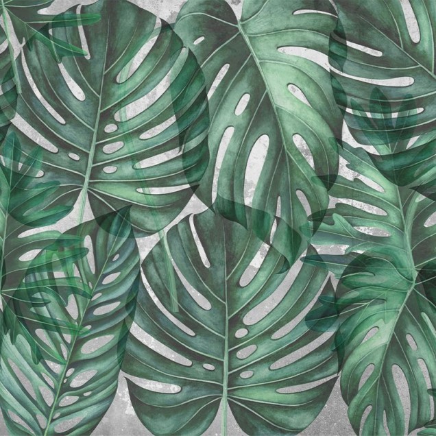 Tapet cu frunze mari de Philodendron in nuante de verde