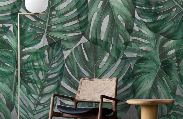 Fototapet Green Philodendron, VLAdiLA