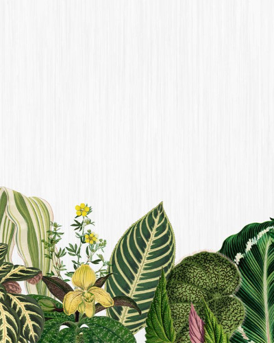 Tapet cu design botanic, cu frunze luxuriante și flori delicate, pe un fundal alb.