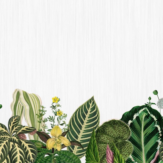 Tapet cu design botanic, cu frunze luxuriante și flori delicate, pe un fundal alb.