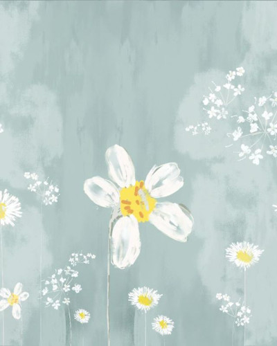Tapet floral cu flori albe si fond bleu deschis