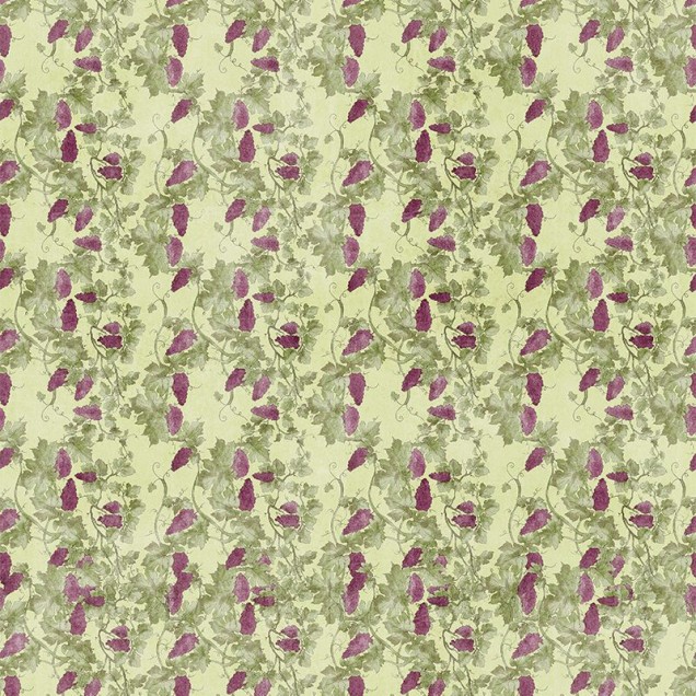 Tapet Vrancea, cu design clasic floral, inspirat din natură, cu frunze verzi și ciorchini de struguri roșii.