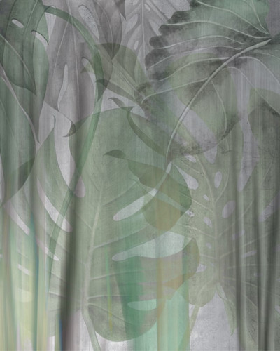 Wallpaper cu frunze de Monstera în nuanțe de verde și gri, perfect pentru a crea un accent tropical modern în casa ta.