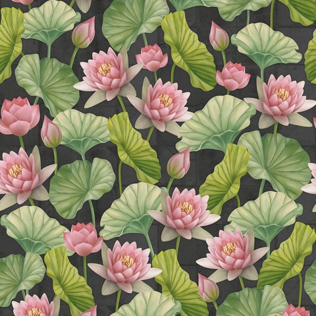 Tapet cu flori de lotus roz pe fundal întunecat