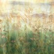Bright Greenery Sunset, VLAdiLA
