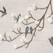 The Land of the Swallows grey, VLAdiLA