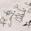 The Land of the Swallows black, VLAdiLA