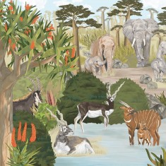 Wonderful Wilds in Color, personalizat, VLAdiLA