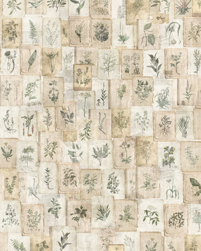 Tapet vintage cu ilustrații botanice pe un perete într-o bucătărie rustică