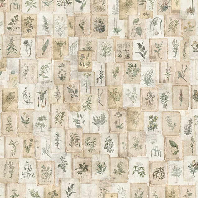 Tapet vintage cu ilustrații botanice pe un perete într-o bucătărie rustică