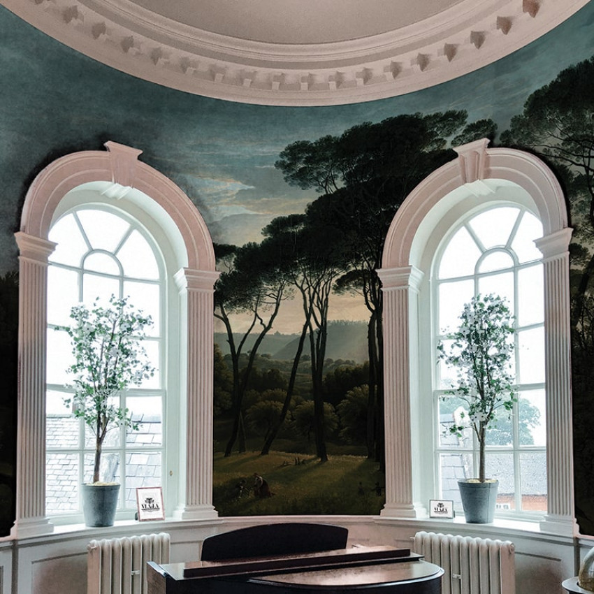 Fototapet cu pini umbrelă la asfințit într-un decor interior elegant