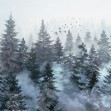 Rivian Forest Stone, VLAdiLA