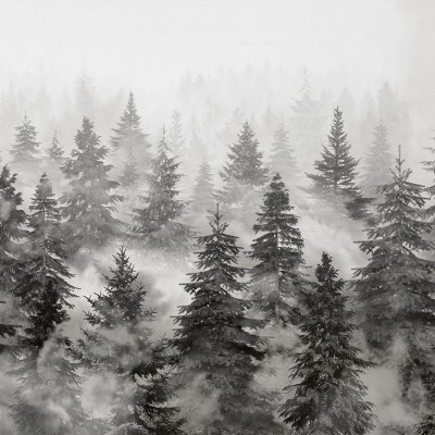 Tapet cu design minimalist, prezentând o pădure învăluită în ceață, cu o paletă de griuri și negru.