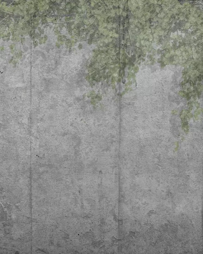 Tapet Concrete Vine cu aspect de beton brut si accente de verdeață naturală