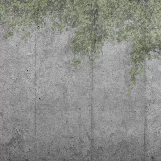 Tapet Concrete Vine cu aspect de beton brut si accente de verdeață naturală