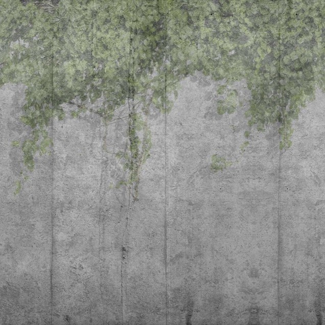 Tapet Concrete Vine cu aspect de beton brut si accente de verdeață naturală