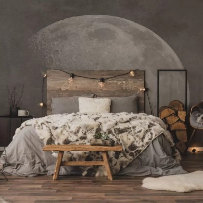 Tapet cu luna pentru un dormitor elegant