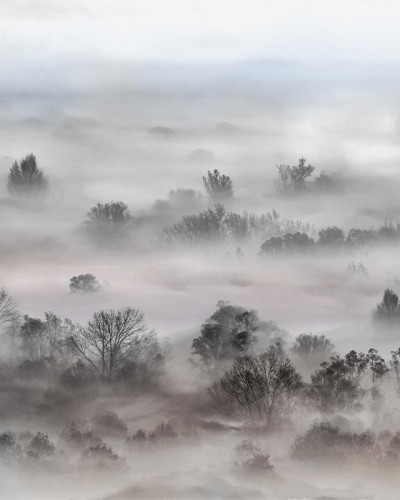 Foggy Landscape Pastels, VLAdiLA