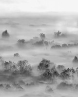Foggy Landscape Grey, VLAdiLA