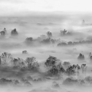 Tapet Foggy Landscape Grey, personalizat, VLAdiLA