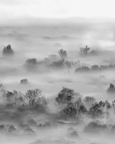 Foggy Landscape Grey, VLAdiLA