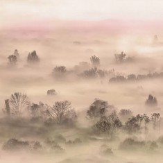 Tapet Foggy Landscape Peach, personalizat, VLAdiLA