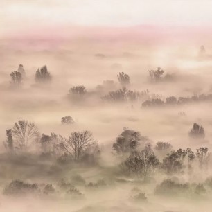 Tapet Foggy Landscape Peach, VLAdiLA