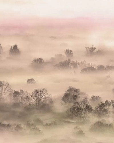 Foggy Landscape Peach, VLAdiLA
