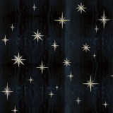 Stars Black, VLAdiLA