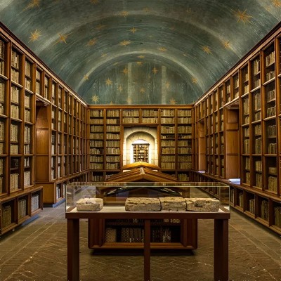 Tapet Stars Olive texturat, cu design inspirat dintr-o bibliotecă veche, cu rafturi pline de cărți vechi și un tavan boltit cu stele aurii.
