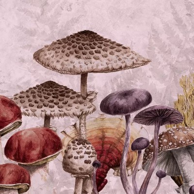 Tapet cu ciuperci Fungaria Pink