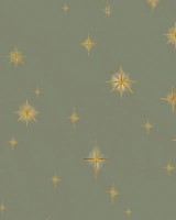 Stars Olive Classic, VLAdiLA