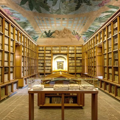 Tapet Skylight Reverie, cu o bibliotecă veche cu rafturi din lemn masiv și un tavan pictat cu flori.