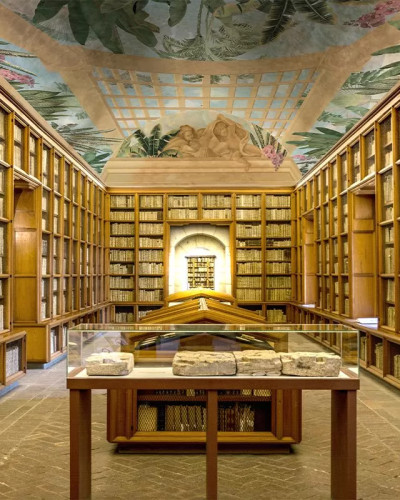 Tapet Skylight Reverie, cu o bibliotecă veche cu rafturi din lemn masiv și un tavan pictat cu flori.