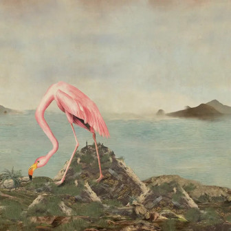 Fototapet personalizat cu flamingo într-un peisaj exotic