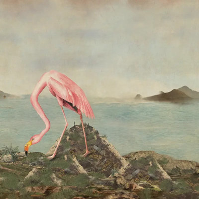 Fototapet personalizat cu flamingo într-un peisaj exotic