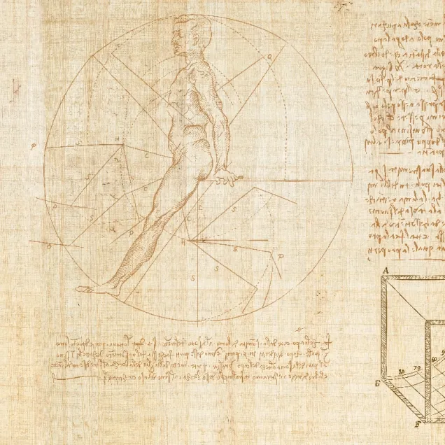 Tapet cu design minimalist, Anatomy of numbers, reprezentând un corp uman desenat cu linii geometrice