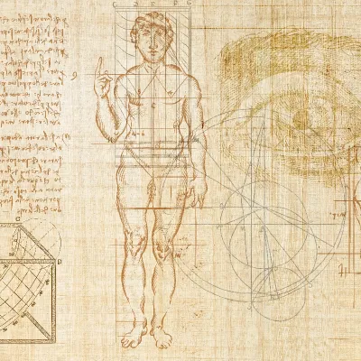 Tapet cu design minimalist, Anatomy of numbers, reprezentând un corp uman desenat cu linii geometrice