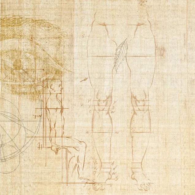 Tapet cu design minimalist, Anatomy of numbers, reprezentând un corp uman desenat cu linii geometrice