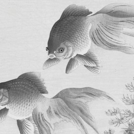 Fototapet rotund Two Goldfish, 190cm diametru, WallArt