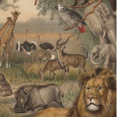 Fototapet rotund Animals of Africa, 142.5cm diametru, WallArt