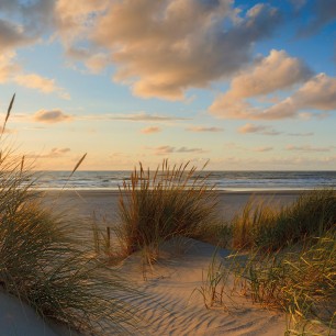 Fototapet rotund Beachlife, 190cm diametru, WallArt