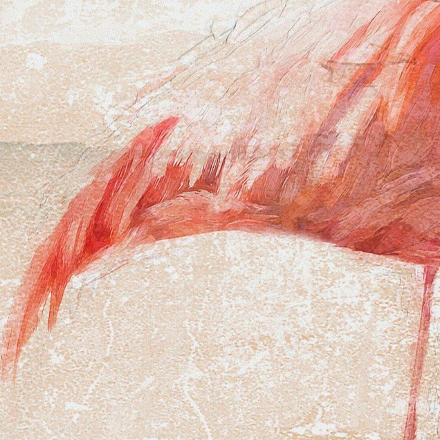 Wallpaper cu flamingo roz pe fundal pastelat, cu frunze verzi în partea de sus. Se poate observa o canapea cu o pernă albastră și o masă rotundă din lemn.