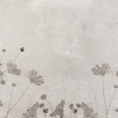 Wallpaper cu design minimalist si flori delicate