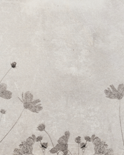 Wallpaper cu design minimalist si flori delicate