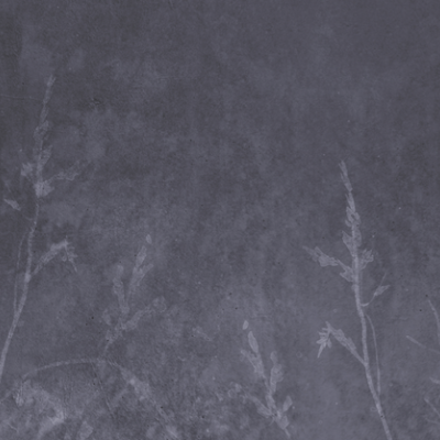 Tapet cu design minimalist Botany Stories BOS1.03.2 - YO2, cu accente botanice delicate, pe un fundal gri închis.