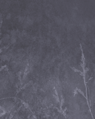 Tapet cu design minimalist Botany Stories BOS1.03.2 - YO2, cu accente botanice delicate, pe un fundal gri închis.