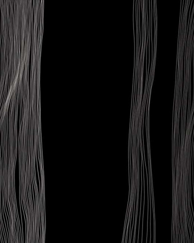 Tapet cu design modern si minimalist, cu linii subtiri argintii pe fundal negru.