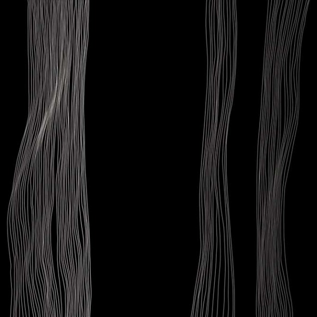 Tapet cu design modern si minimalist, cu linii subtiri argintii pe fundal negru.